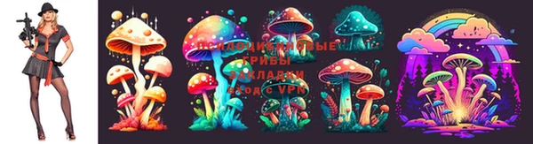 мяу мяу мука Бугульма