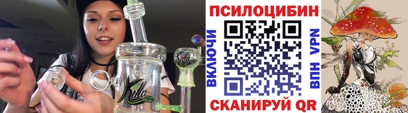 Псилоцибиновые грибы Psilocybine cubensis  цена наркотик  KRAKEN зеркало  Южноуральск 